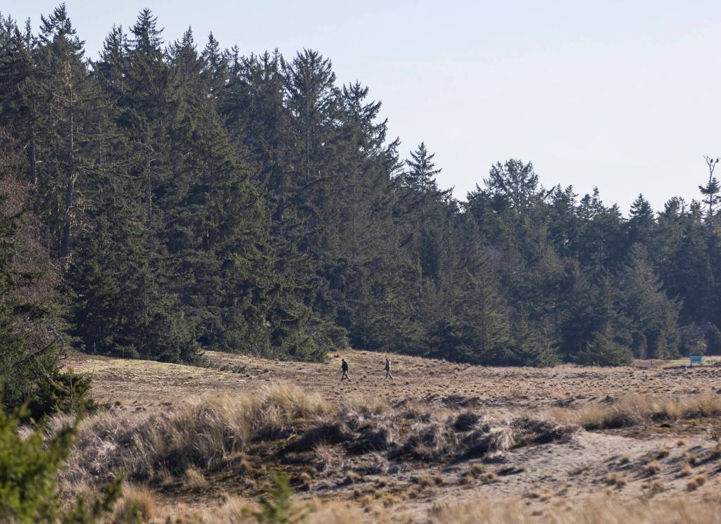 People walk along the Dunes Interpretive Trail at Deception Pass State Park on Monday, March 2, 2026 in Oak Harbor, Washington. (Olivia Vanni / The Herald)