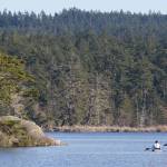 A person fishes on Cranberry Lake at Deception Pass State Park on Monday, March 2, 2026 in Oak Harbor, Washington. (Olivia Vanni / The Herald)