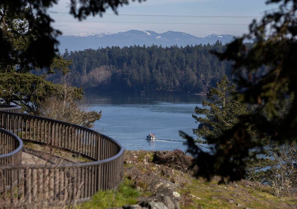 A boat travel east through Deception Pass past the Pass Island Viewpoint on Monday, March 2, 2026 in Anacortes, Washington. (Olivia Vanni / The Herald)