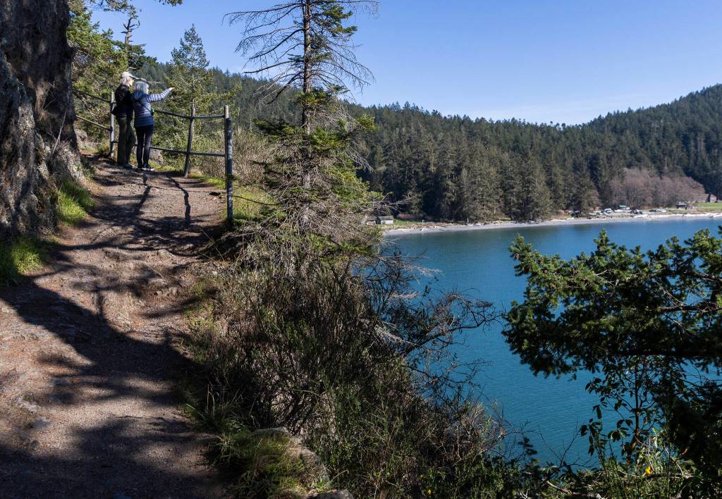 People look out over Bowman Bay from the Pacific Northwest Trail at Deception Pass State Park on Monday, March 2, 2026 in Anacortes, Washington. (Olivia Vanni / The Herald)