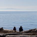 People sit with binoculars and look out over the water from West Beach at Deception Pass State Park on Monday, March 2, 2026 in Oak Harbor, Washington. (Olivia Vanni / The Herald)