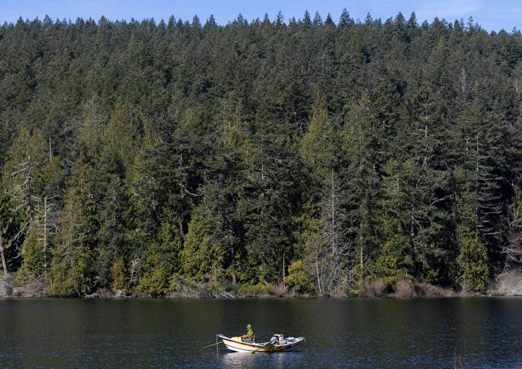 A person fishes on Pass Lake at Deception Pass State Park on Monday, March 2, 2026 in Anacortes, Washington. (Olivia Vanni / The Herald)