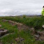 Alan Lytton, Stanwoods city engineer, walks along a damaged section of the Skagit Bay Dike on Thursday, June 4, 2026, just outside Stanwood, Washington. (Will Geschke / The Herald)