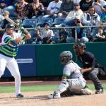 Cal Raleigh of the Seattle Mariners bats for Everett AquaSox during his rehab assignment on Sunday, June 7, 2026 at Everett Memorial Stadium in Everett, Washington. (Photo courtesy of Mason Coe)