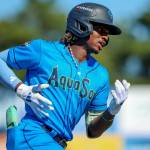 Felnin Celesten of the Everett AquaSox hit a home run against the Hillsboro Hops on Sunday, June 21, 2026. (Photo courtesy of Evan Morud / Everett AquaSox