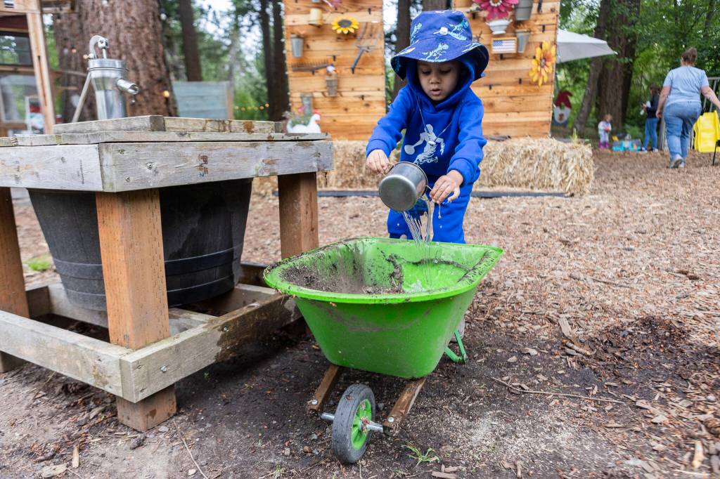 Hayat Saviq, 4, plays with water and a wheelbarrow at Vaughns Teaching Farm and Kitchen on Thursday, June 25, 2026 in Lynnwood, Washington. (Olivia Vanni / The Herald)