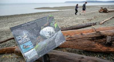 Two people walk along the beach at Meadowdale Beach Park on Thursday, Jan. 12, 2023, in Edmonds, Washington. (Ryan Berry / The Herald)