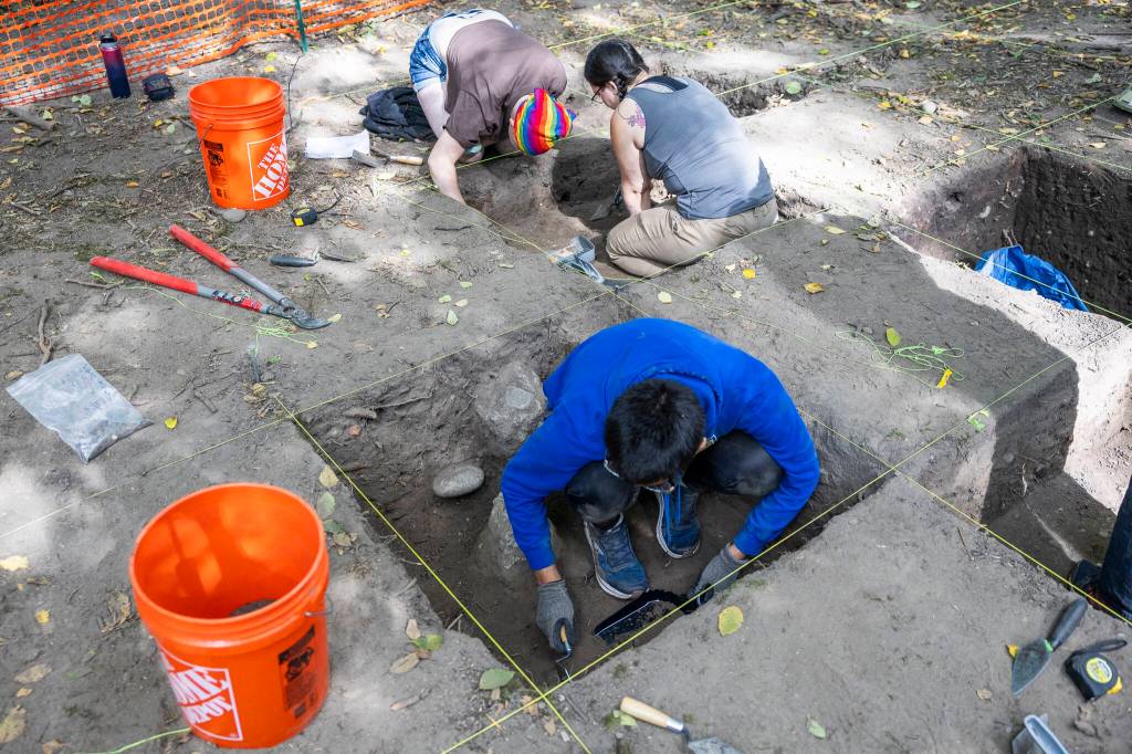 Edmonds College students dig in Japanese Gulch on Tuesday, July 28, 2026 in Mukilteo, Washington. (Olivia Vanni / The Herald)