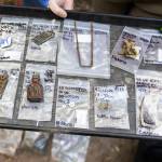 A tray of different artifacts found during the dig on Tuesday, July 28, 2026 in Mukilteo, Washington. (Olivia Vanni / The Herald)