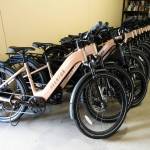 Rental e-bikes that will be available under the library program, seen here on Tuesday, June 28, 2026, in Everett, Washington. (Will Geschke / The Herald)