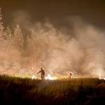 Firefighters burn out fuels to create defensible space near homes at the Bradeen Hill fire in Stevens County on Sunday, July 26, 2026. (Photo courtesy of Ray Sayah)
