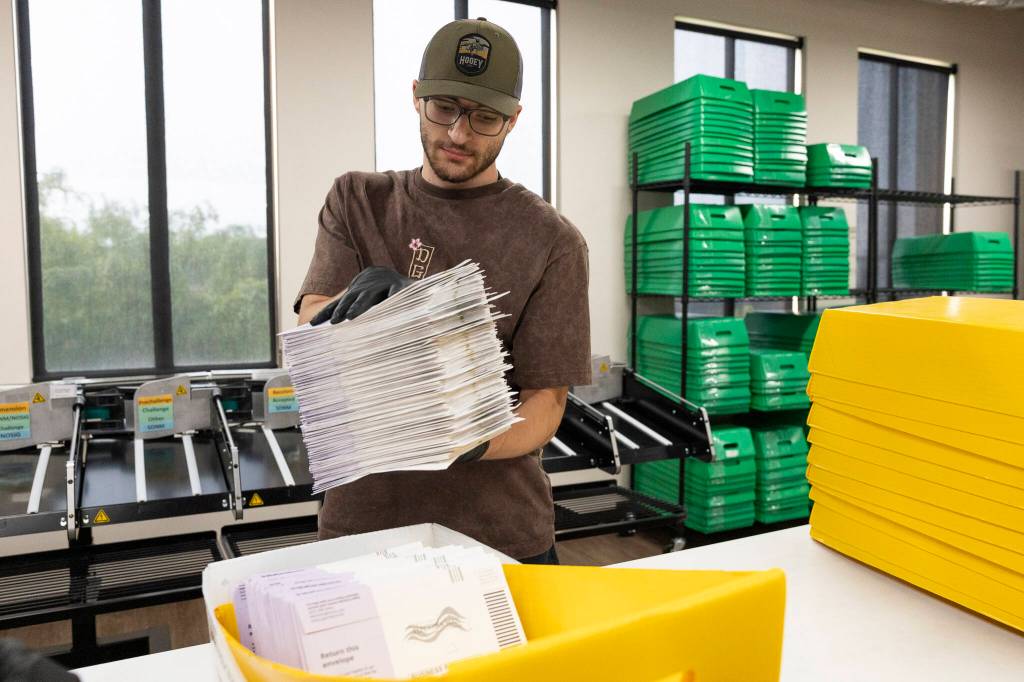 Cole Mauch places a stack of sorted ballots into a container in the Snohomish County Election Center on Monday, Aug. 3, 2026 in Everett, Washington. (Olivia Vanni / The Herald)