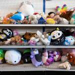 Stuffed animals fill shelves on the back wall of Goodwill on Monday, Aug. 3, 2026 in Everett, Washington. (Olivia Vanni / The Herald)