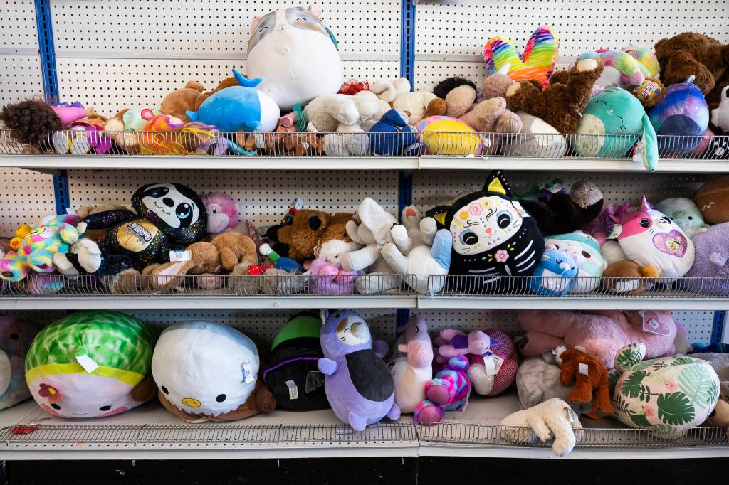 Stuffed animals fill shelves on the back wall of Goodwill on Monday, Aug. 3, 2026 in Everett, Washington. (Olivia Vanni / The Herald)